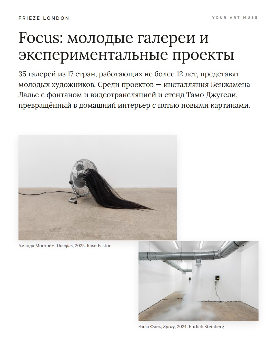 Focus: 35 молодых галерей из 17 стран. Аманда Мострём (Rose Easton), Элла Флек (Ehrlich Steinberg). Изображения: Frieze